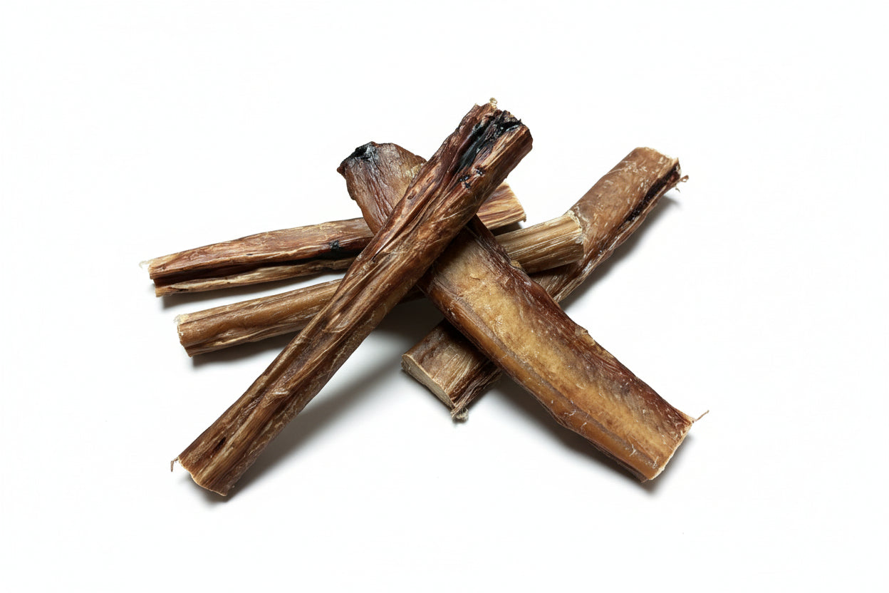 Gedroogde runderbullepees stevige kauwsnack voor honden 100% vlees