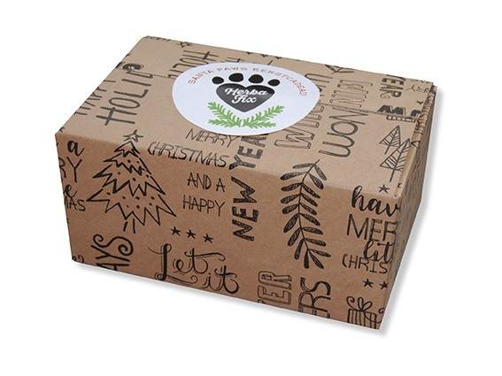 levering aan huis Versterken breedte Kerstcadeau voor honden - Santa Paws Box - Stel zelf jouw box samen