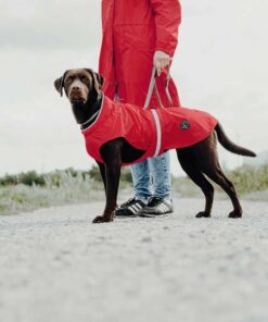 regenjas voor grotere honden uppsala rain hunter